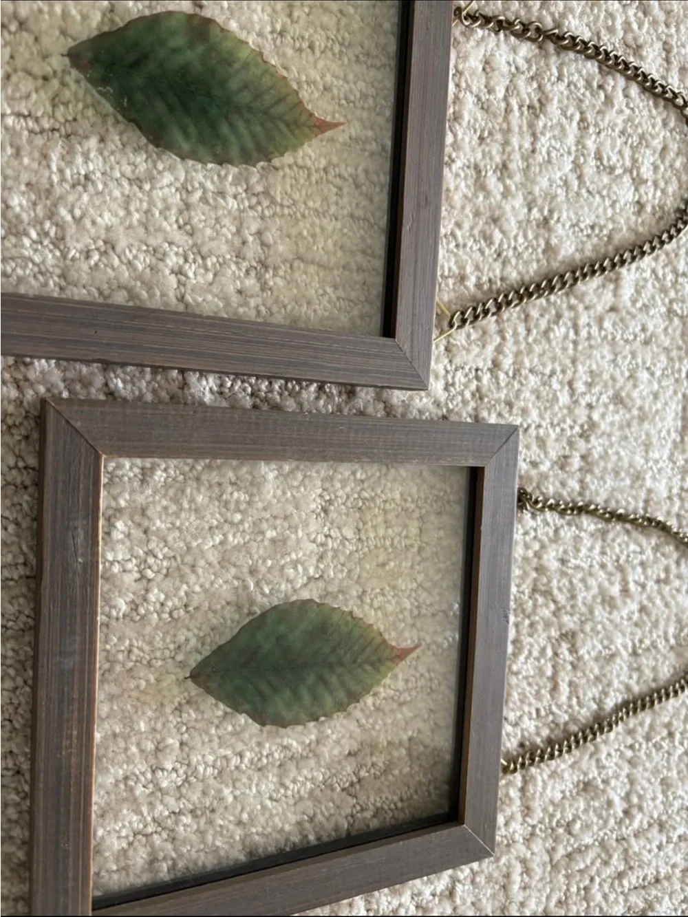 2 BOTANICAL LEAVES IN GLASS FRAMED WALL DECOR